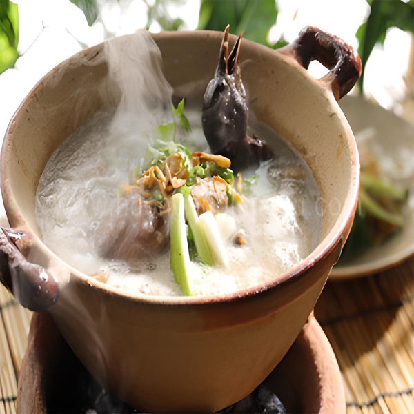 Bồ Câu Nấu Cháo