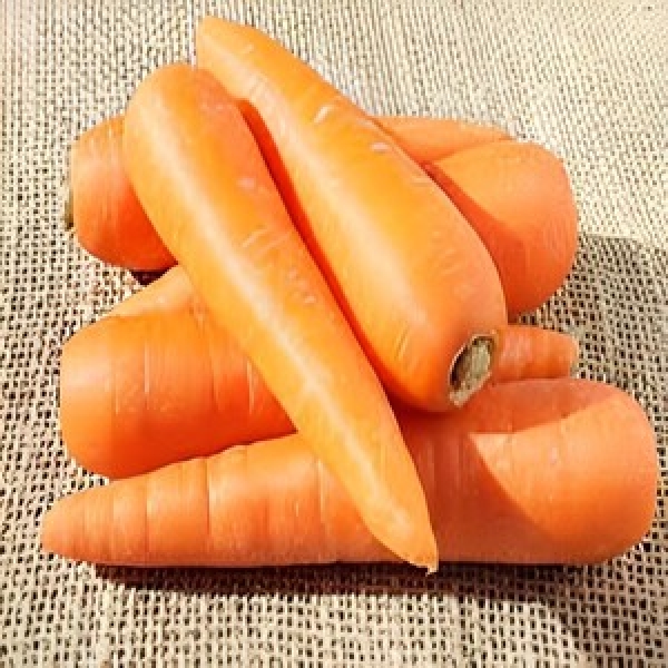 Cà Rốt
