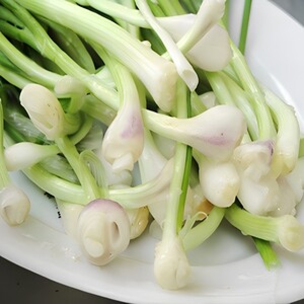 Đầu Hành
